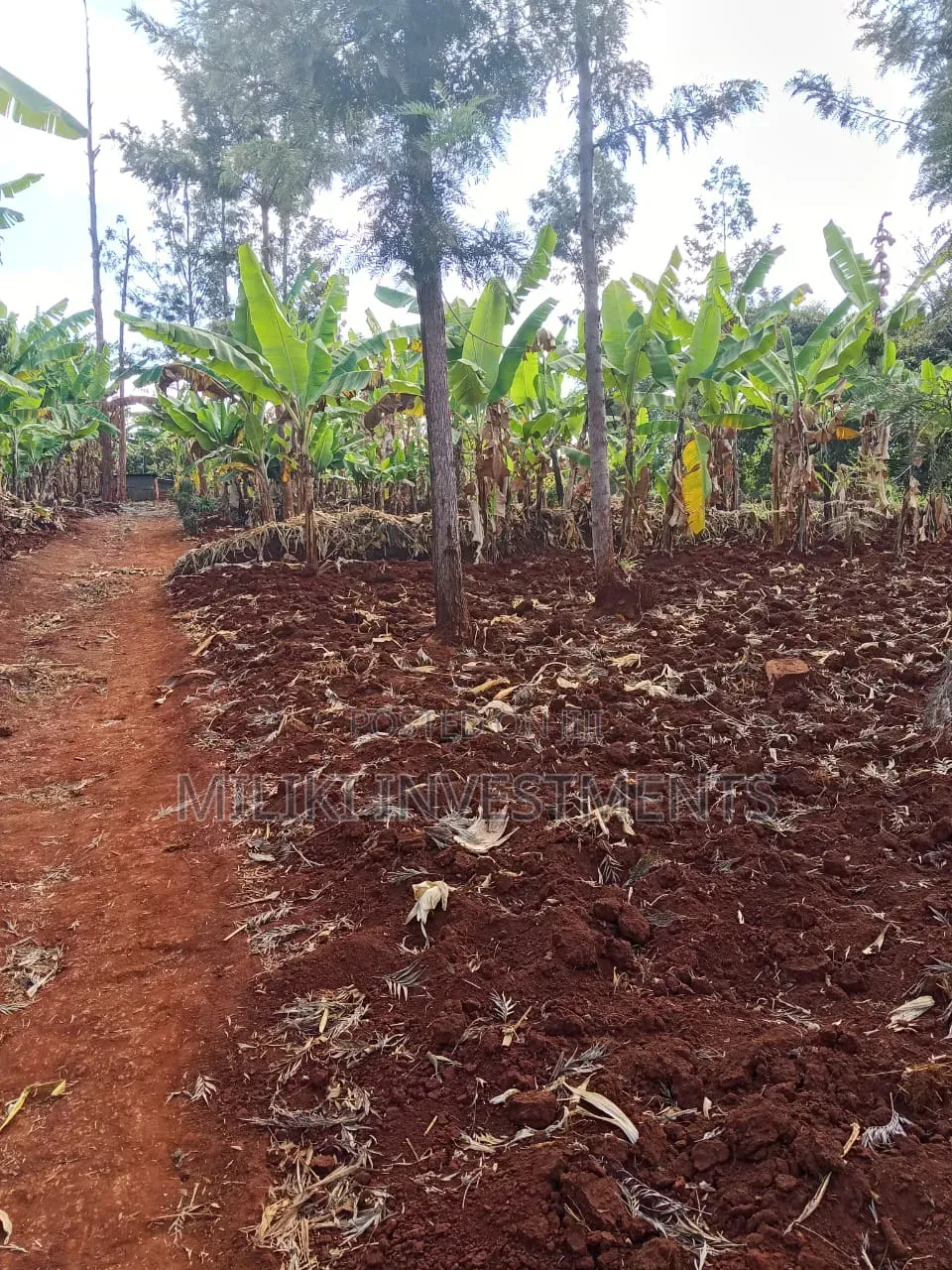 Quarter an Acre on Sale AT SABASABA -Kamahuha-Igikiro