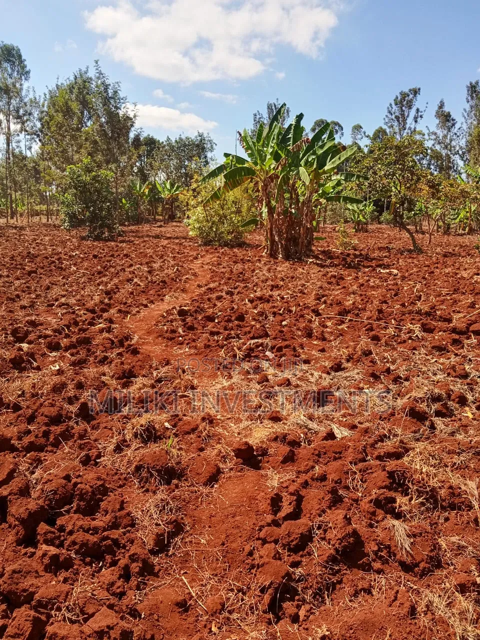 Quarter an Acre on Sale AT SABASABA -Kamahuha-Igikiro