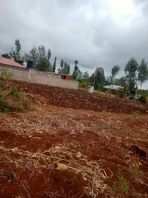 1.25 Acres on Sale at Kenol-Kimorori