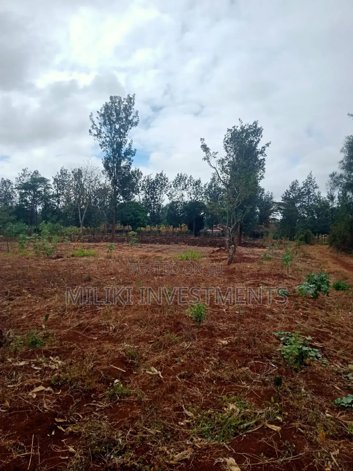 1.25 Acres on Sale at Kenol-Kimorori