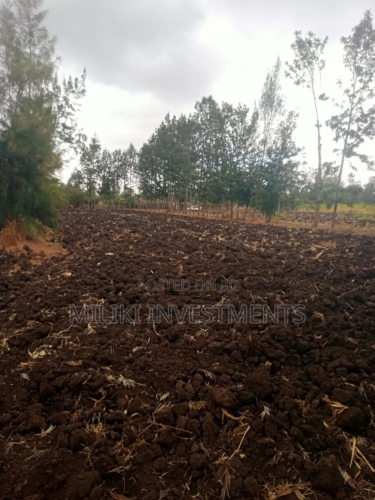 1.25 Acres on Sale at Kenol-Kamiigua