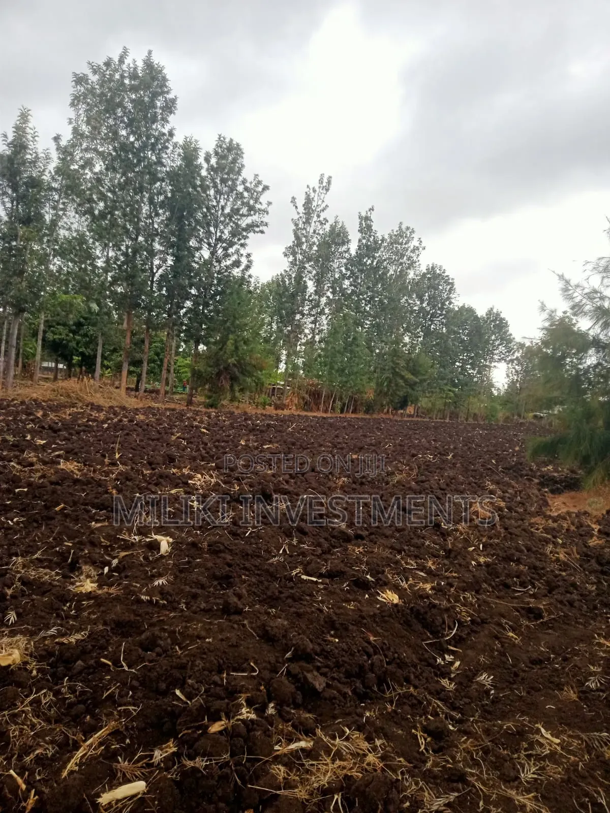 1.25 Acres on Sale at Kenol-Kamiigua
