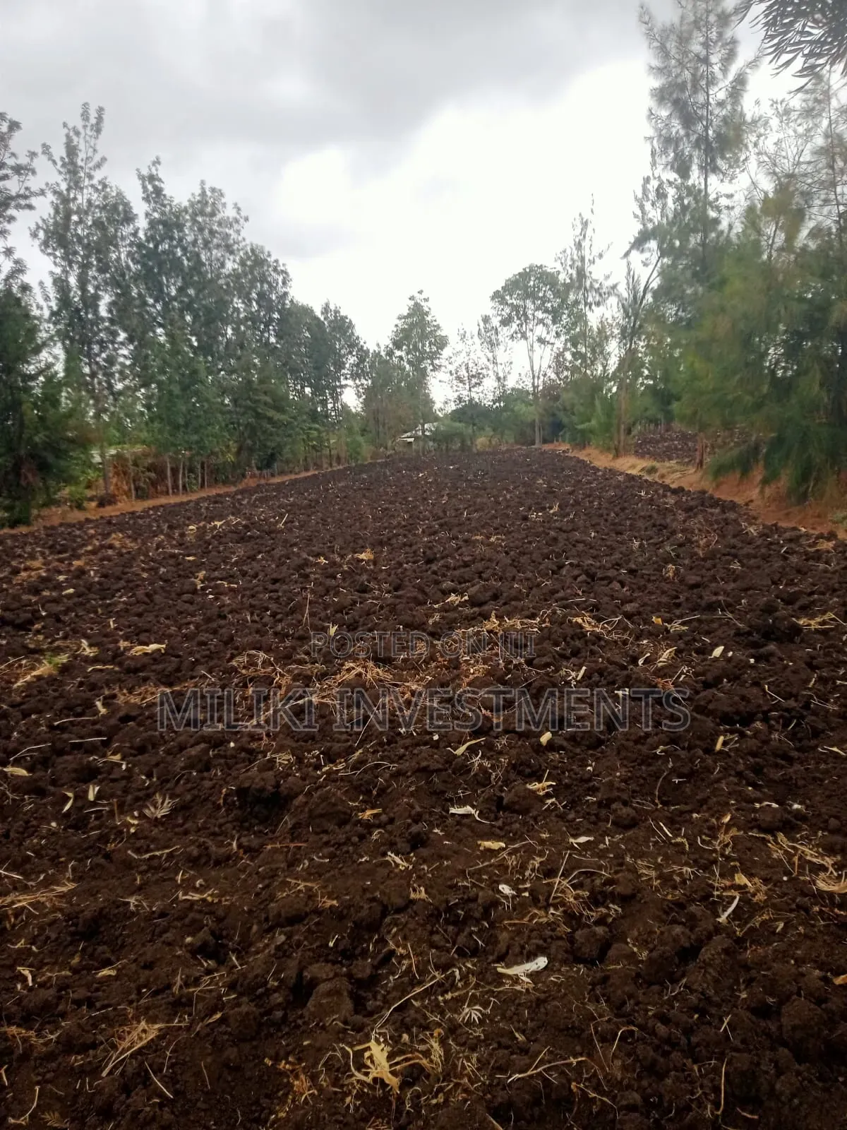 1.25 Acres on Sale at Kenol-Kamiigua