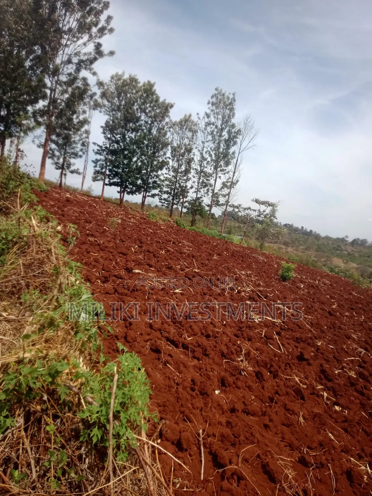 60 by 100 Ft Plot on Sale at Kenol -Kagaa