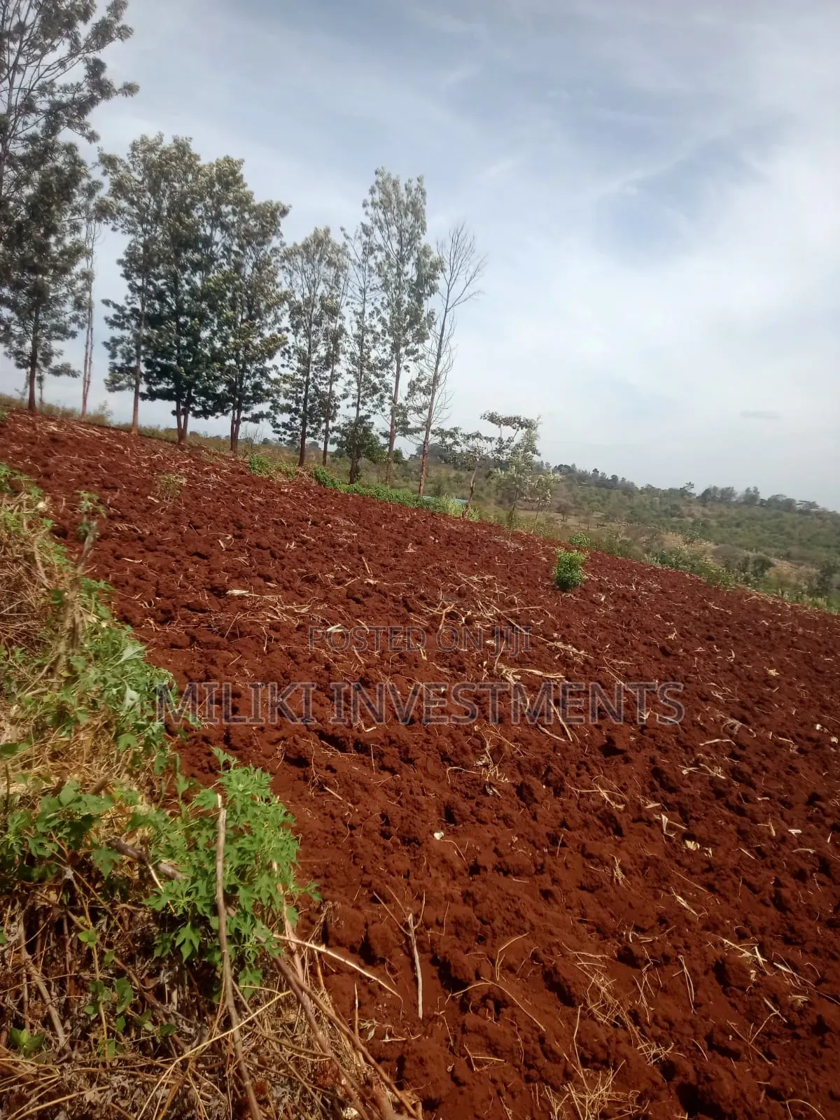60 by 100 Ft Plot on Sale at Kenol -Kagaa