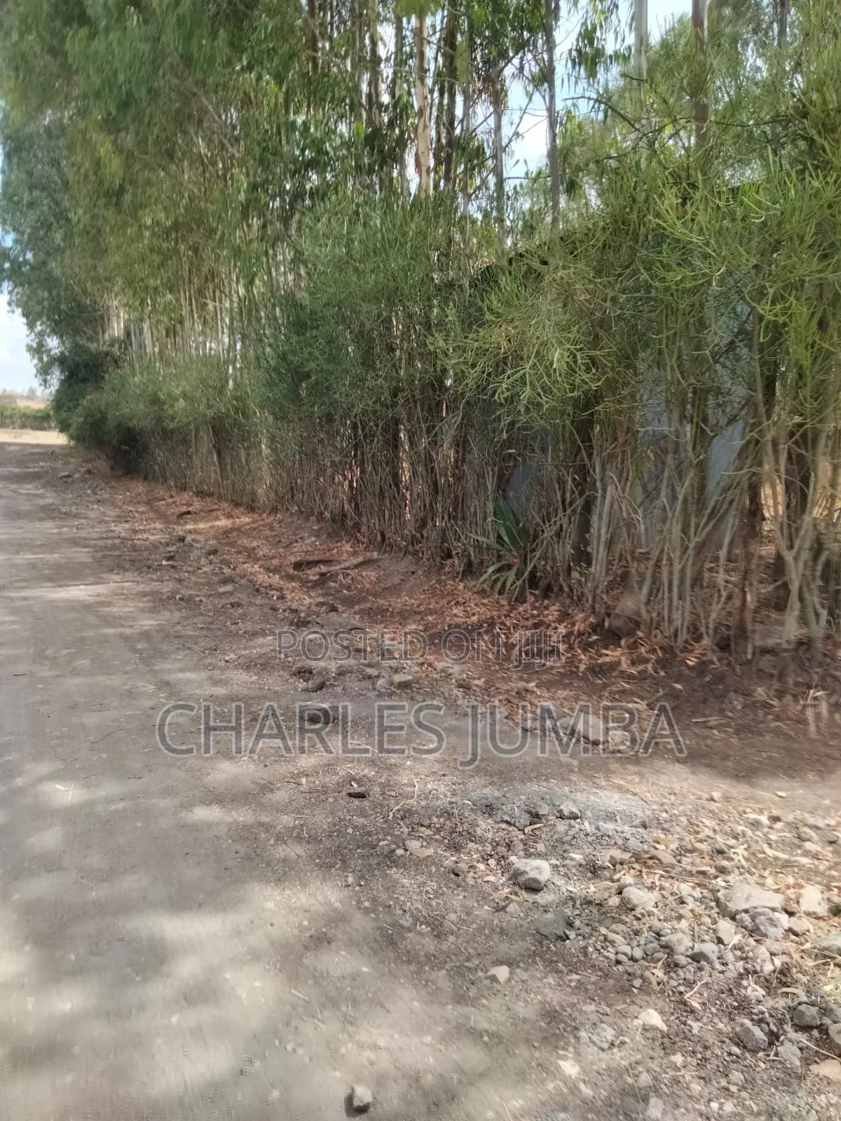 Ruai Plot in Green Spring Estate