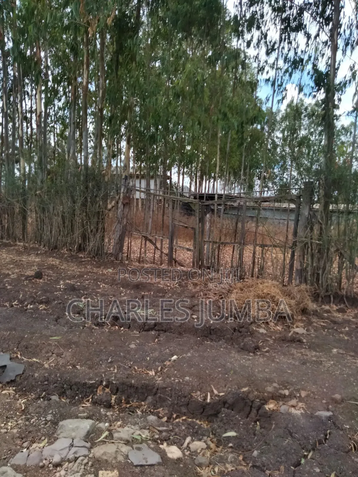 Ruai Plot in Green Spring Estate