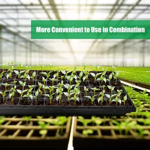Organized Germination Trays - Wholesale