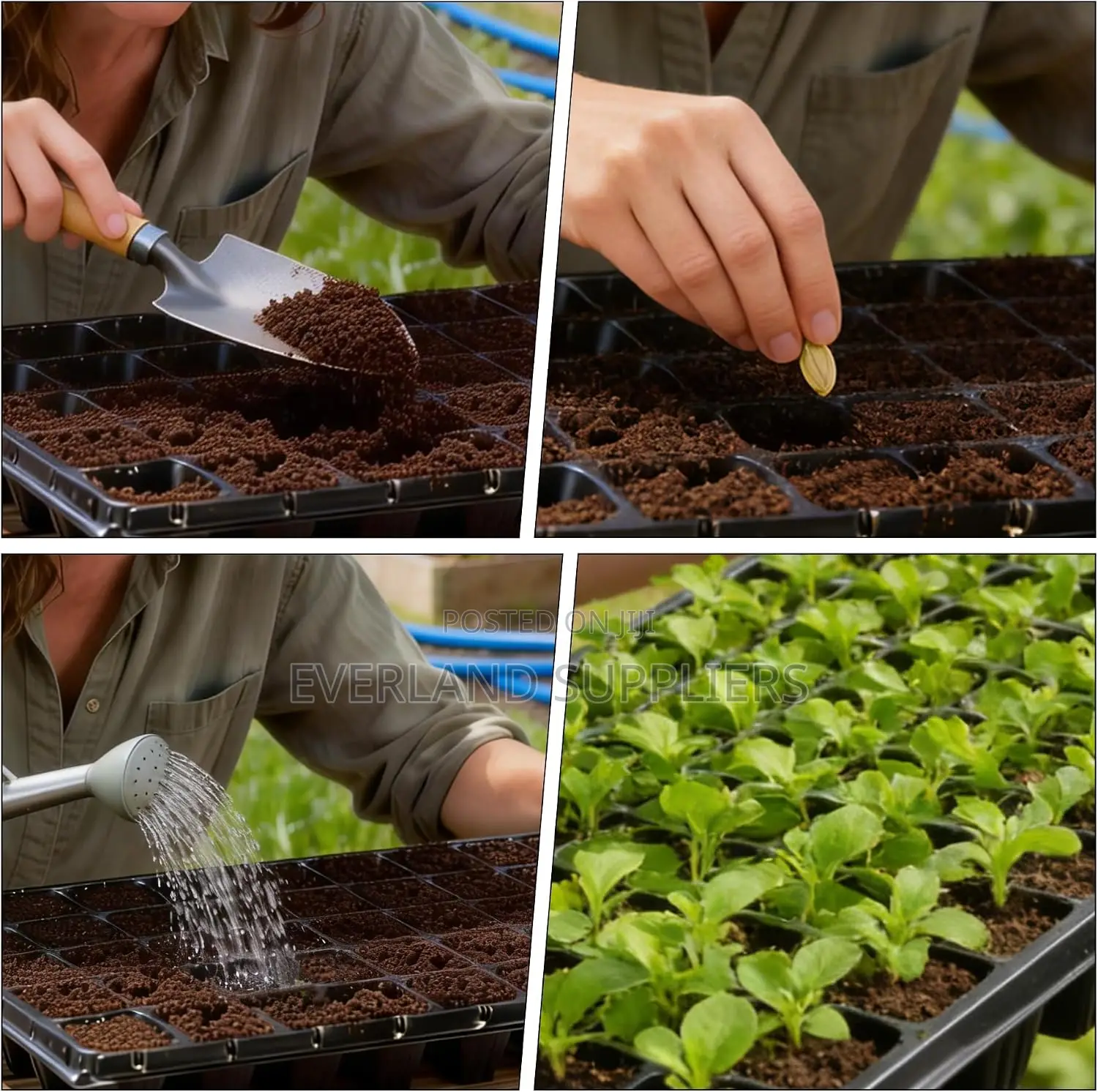 288 Cell Seedling Plastic Nursery Tray