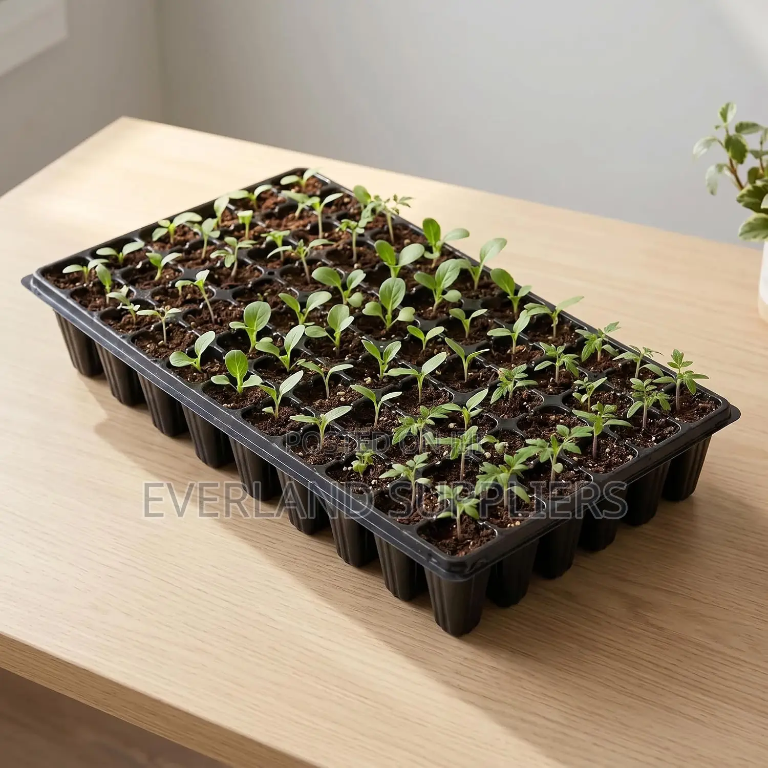 Reusable Plant Propagation Trays