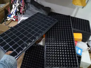 Seedling Trays for Home Gardening
