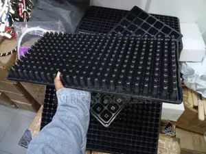 Reliable Seed Starting Trays