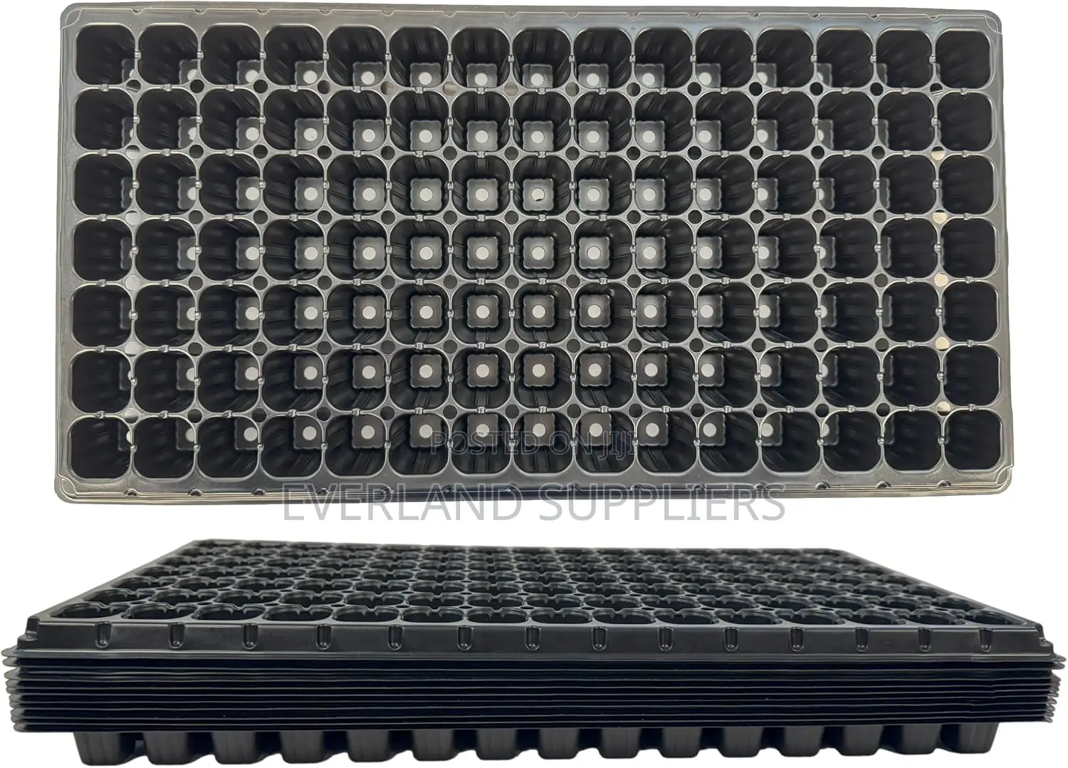 Multi-Plant Growing Trays