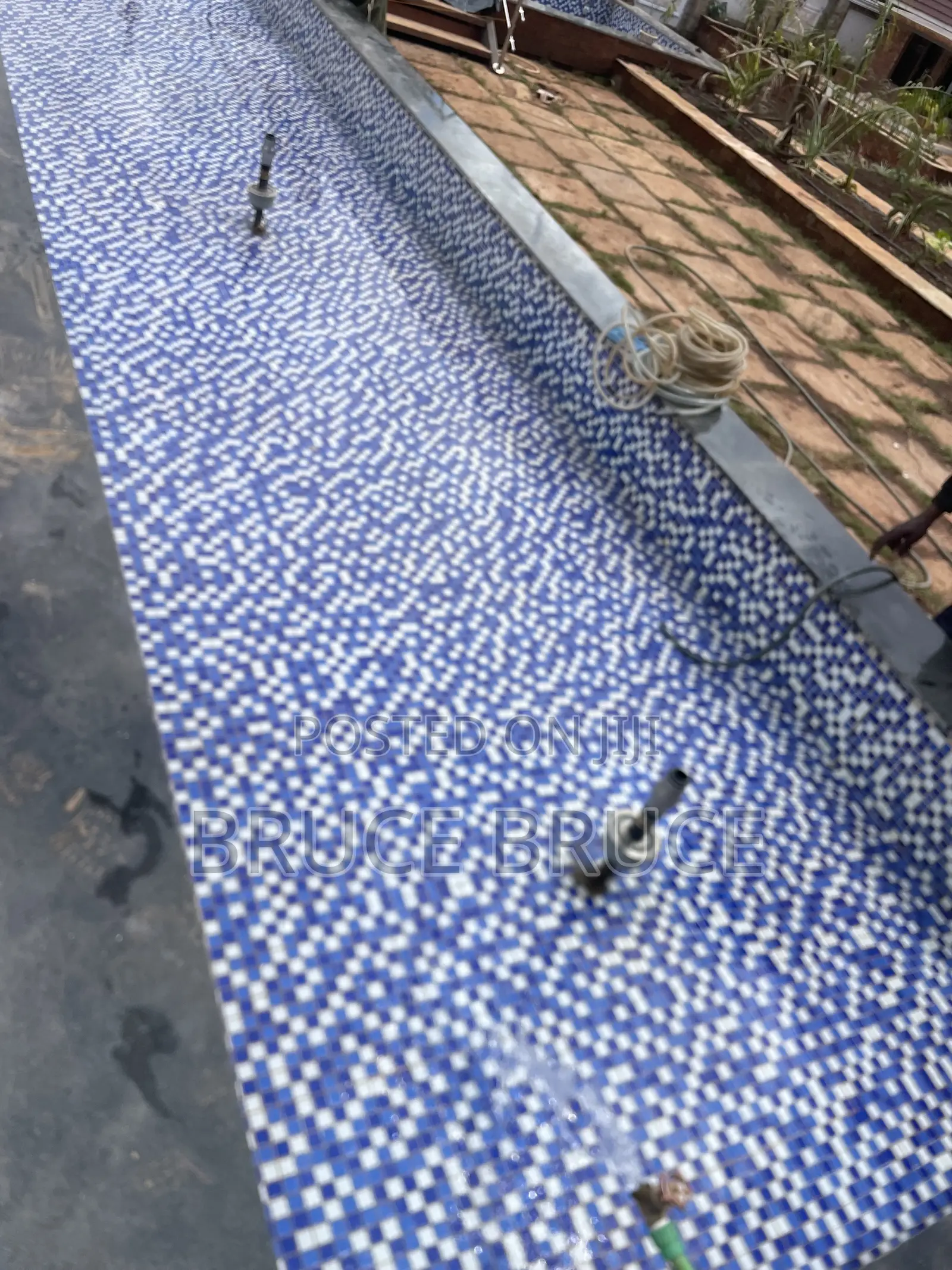 Fish Pond Maintenance