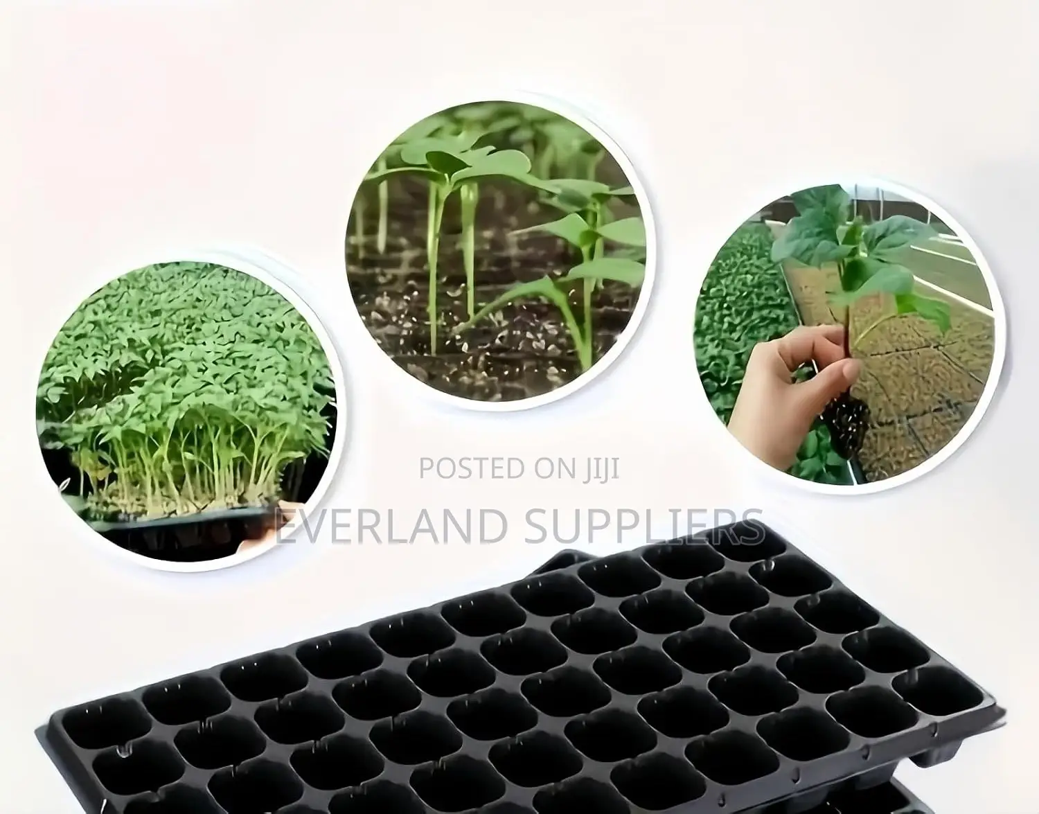 Simple Seed Planting Tray