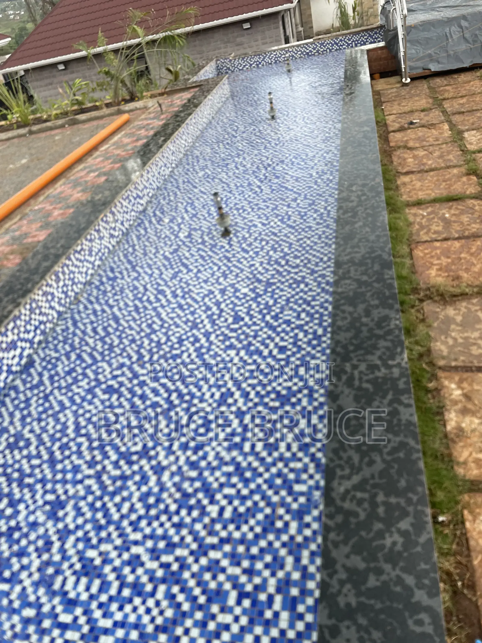 Fish Pond Maintenance