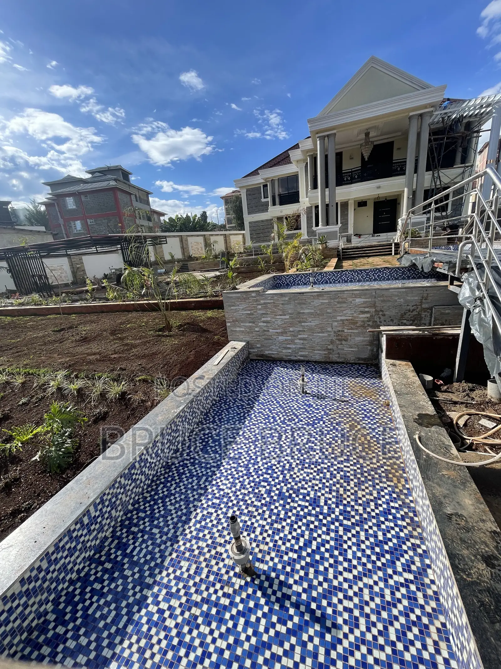 Fish Pond Maintenance