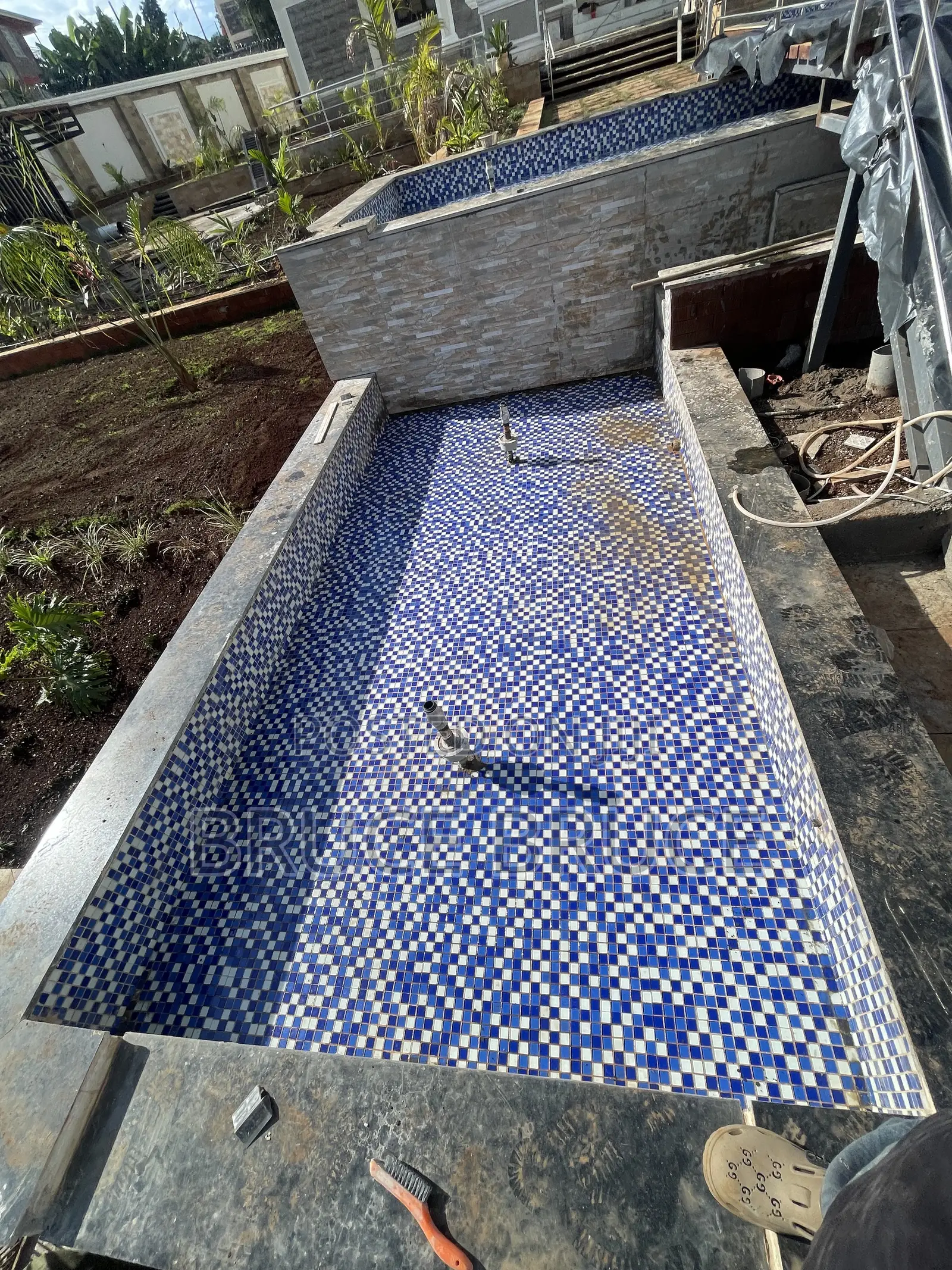 Fish Pond Maintenance