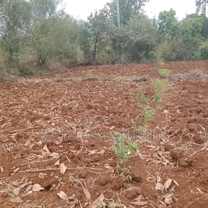 1 Acre on Sale at Maguguni- Thika GARISSA Road