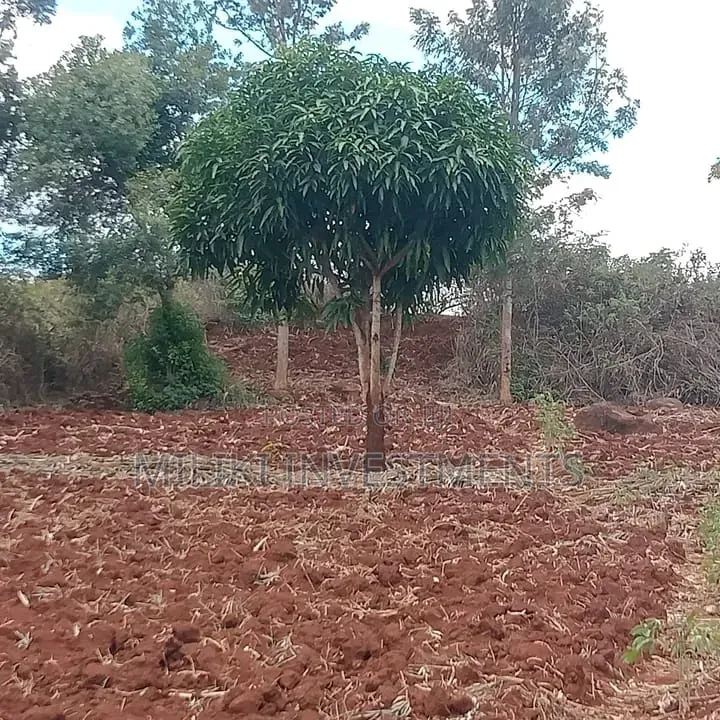 1 Acre on Sale at Maguguni- Thika GARISSA Road