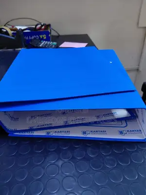 Blue Document Box File