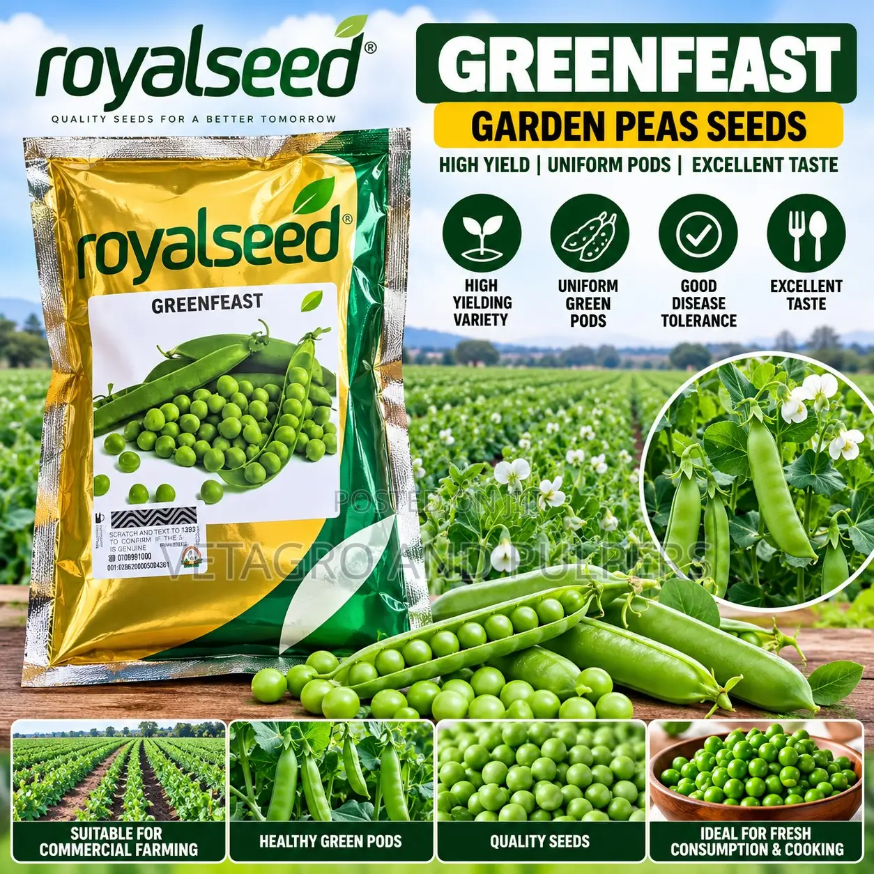 Royal Greenfeast Peas Seeds 1KG & Quality Vegetable Seeds for Farming
