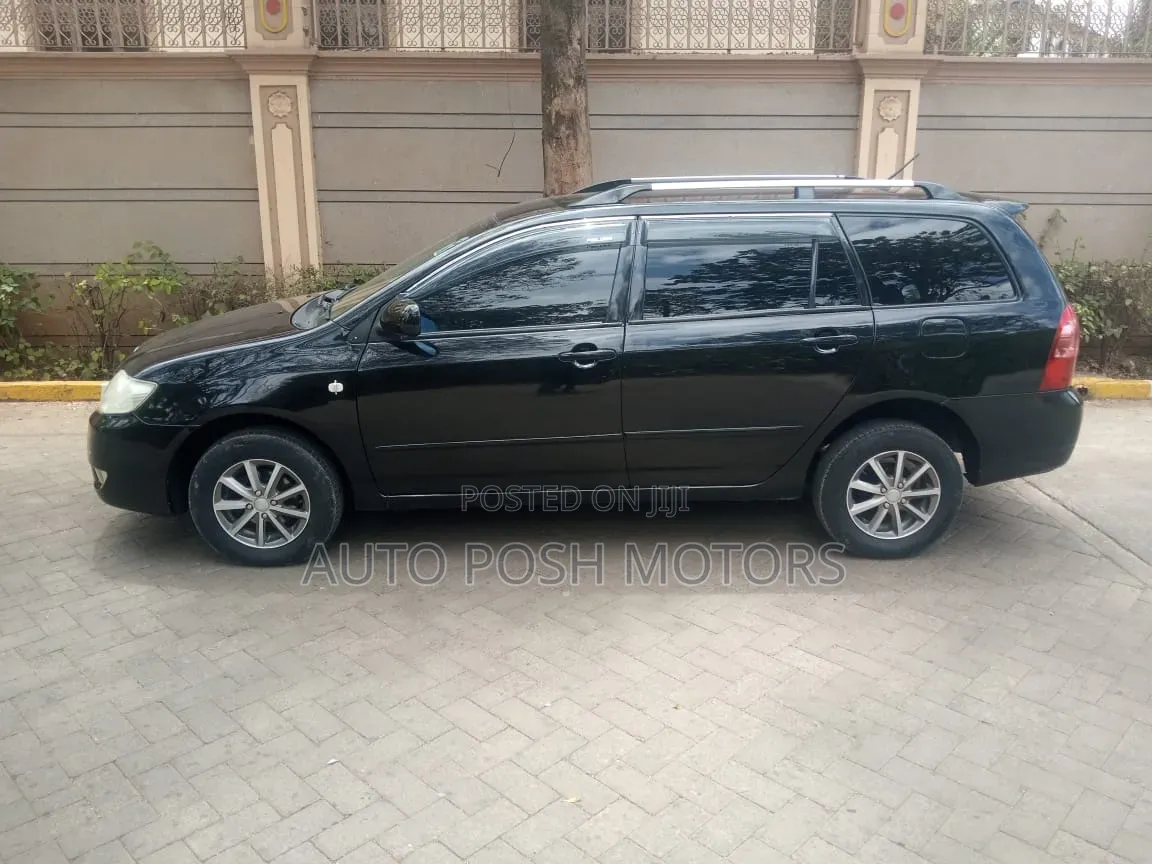 Toyota Corolla Fielder 2006 Black
