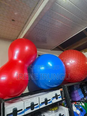 Yoga Ball With a Free Pump** Gym Ball