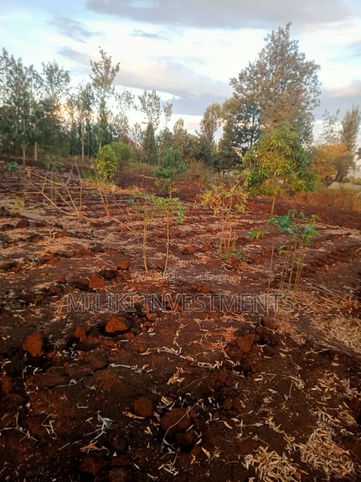 Half an Acre on Sale at Kabati-Kangangu