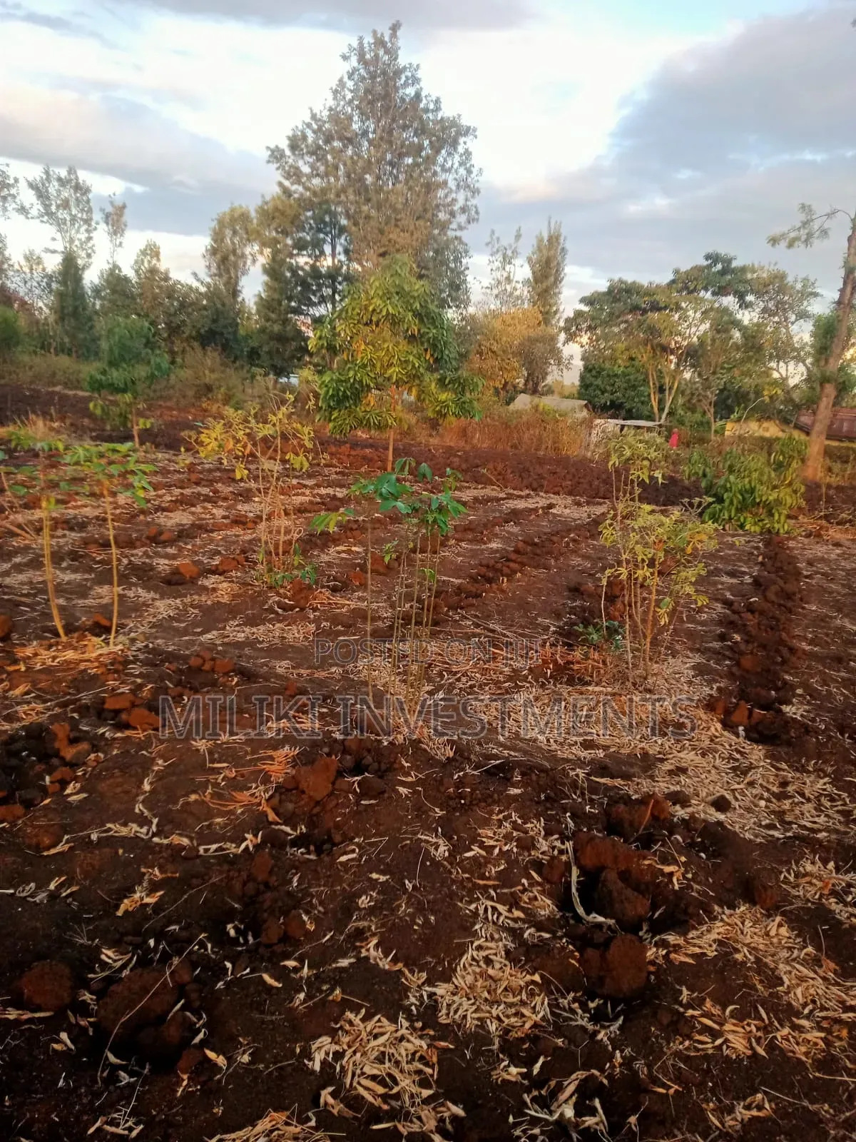 Half an Acre on Sale at Kabati-Kangangu
