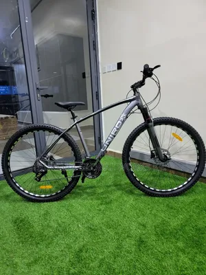 Unirox 29"mountain Bike