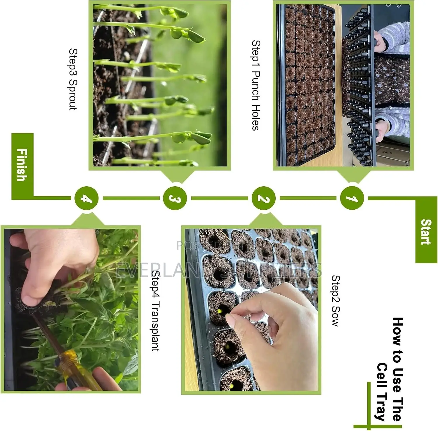 Tray Suitable for Plant Germination