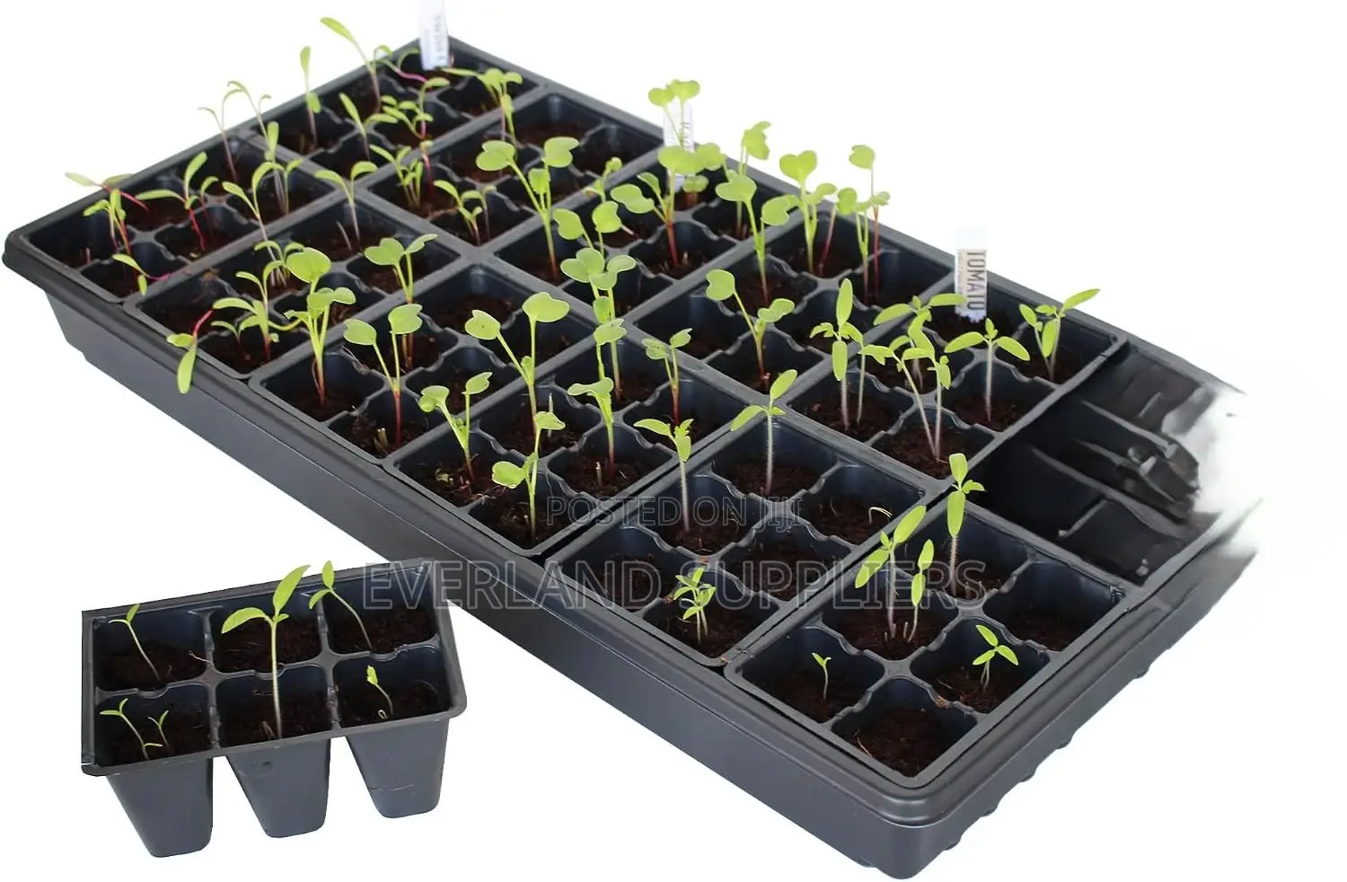 Efficient Seed Starting Trays