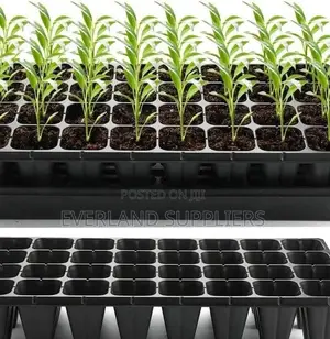 Space-Saving Seedling Trays