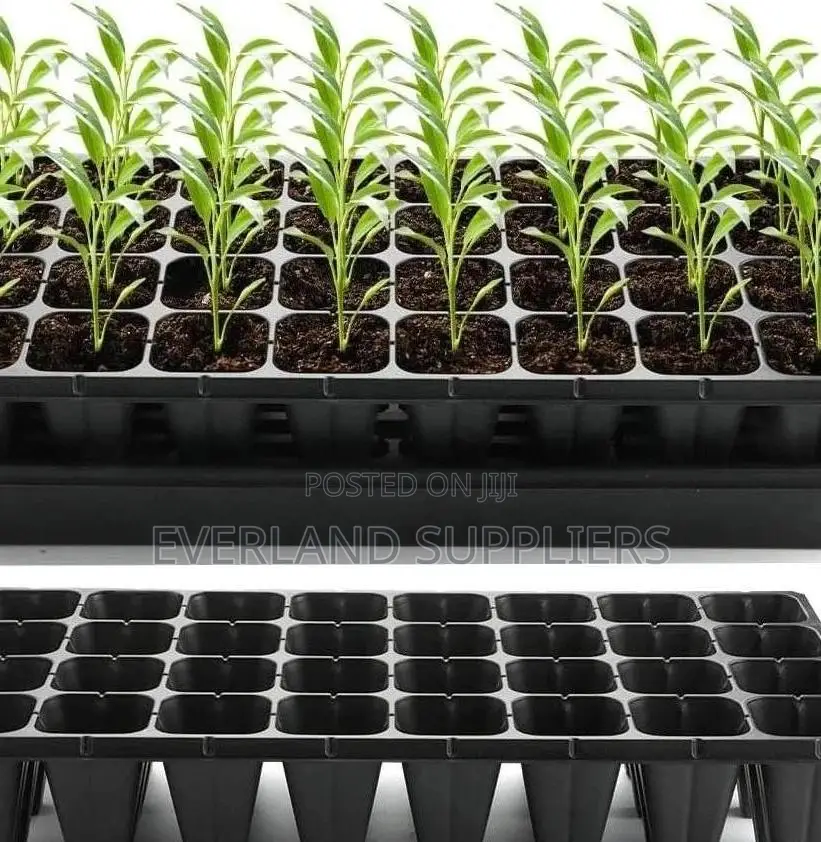 Space-Saving Seedling Trays