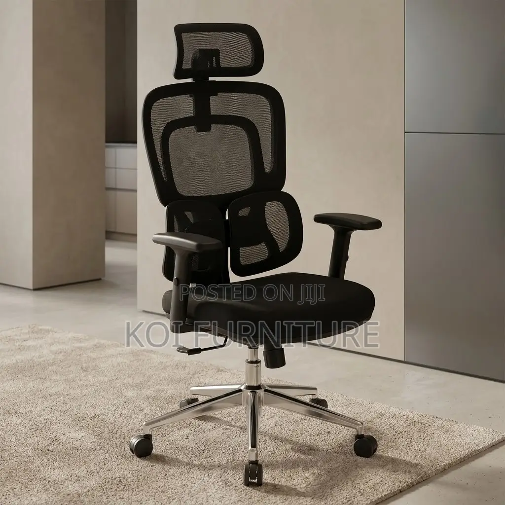 Office Chairs; Dual Backrest Executive Orthopedic Mesh Chair