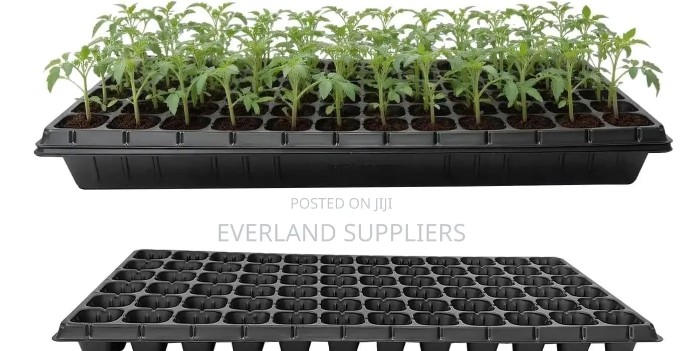 Reliable Plant Starting Trays