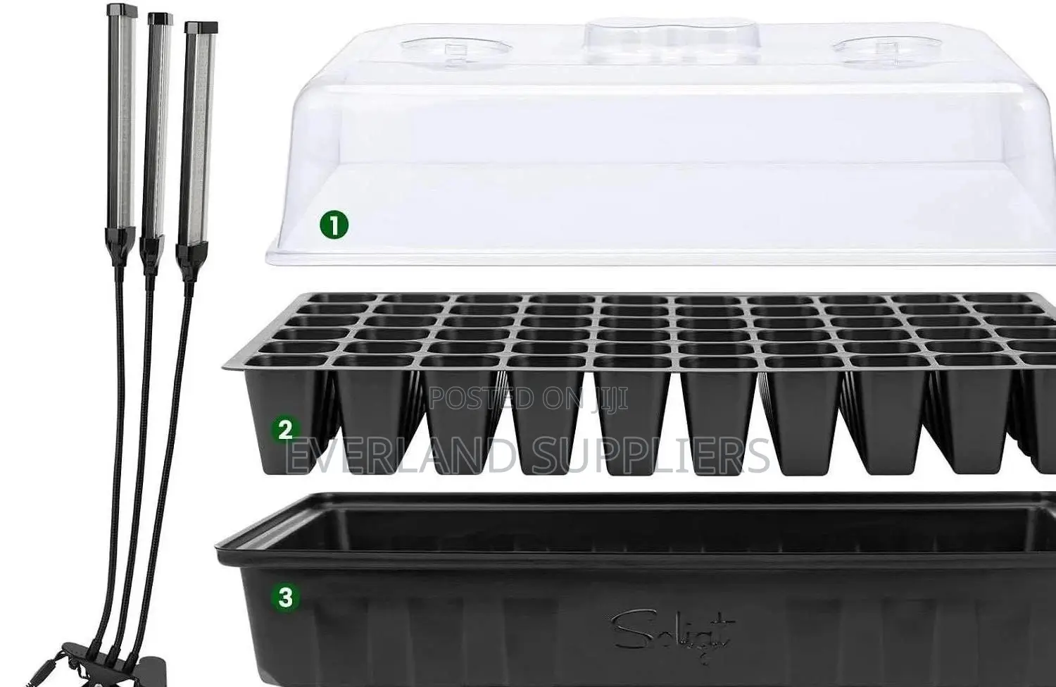 Root Development Seedling Trays