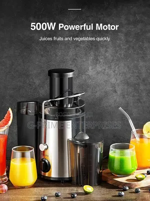 Ramtons Commercial Juicer Extractor