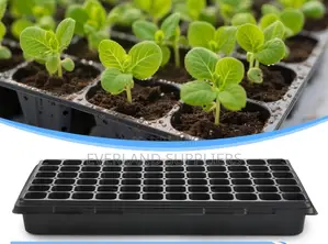 All-Season Seedling Trays