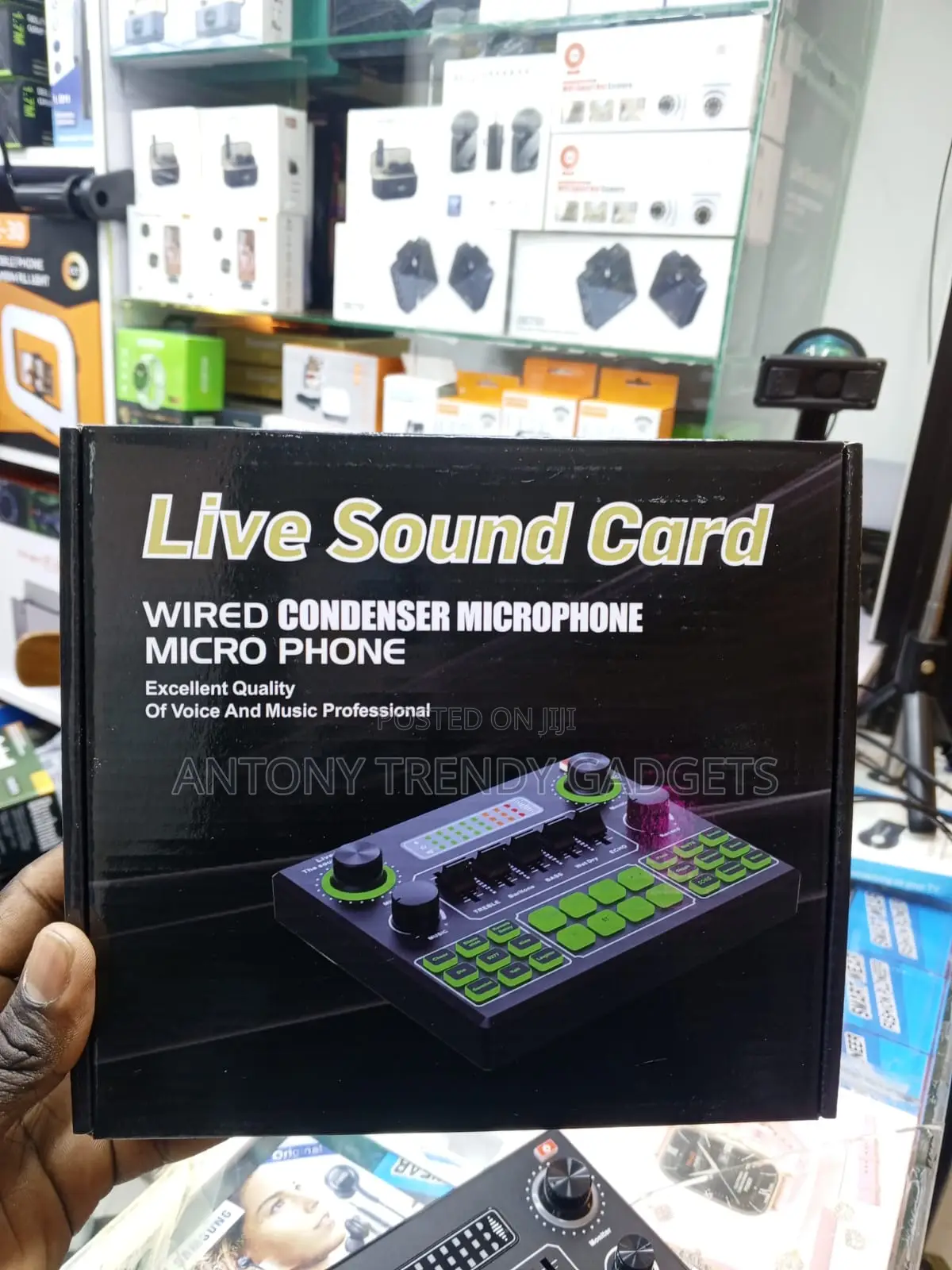 V9 Portable Audio Interface With Bluetooth and Echo Effects