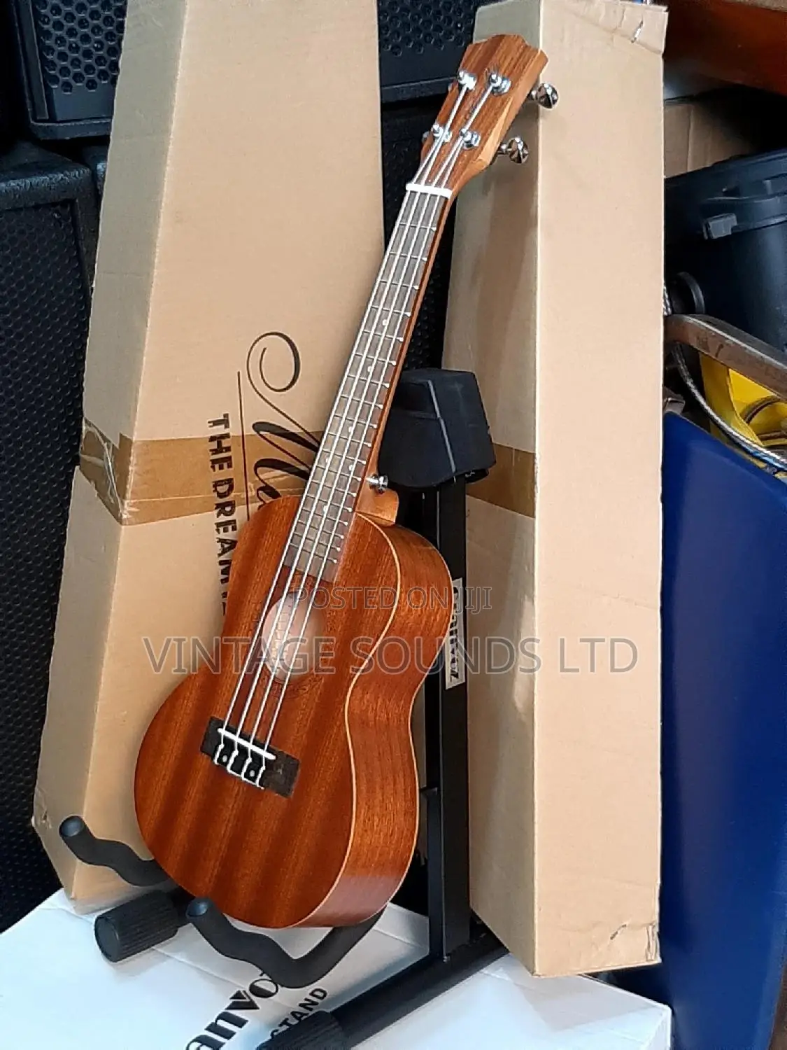 Ukulele Guitar