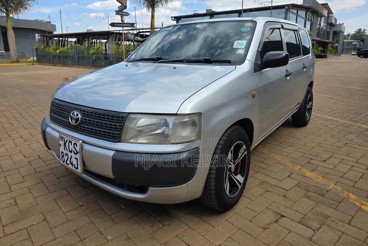 Toyota Probox 1.5 DX 2WD 2011 Gray