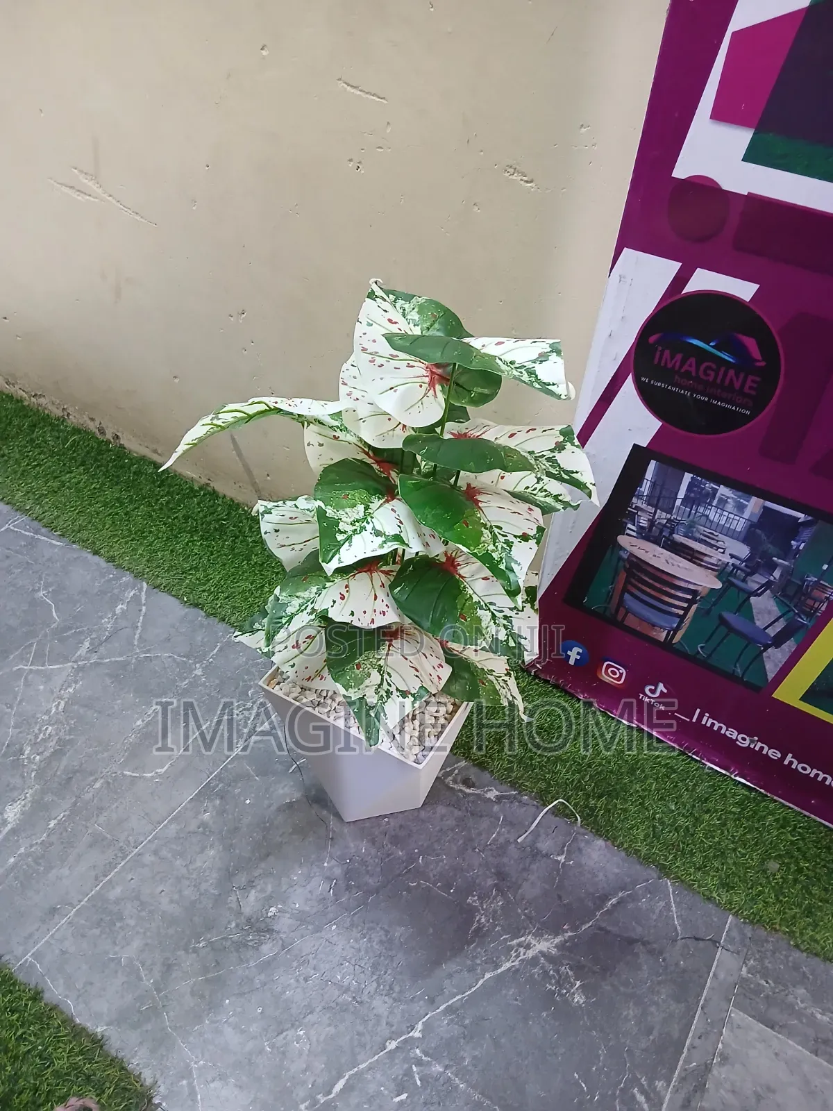 Small Artificial Plant