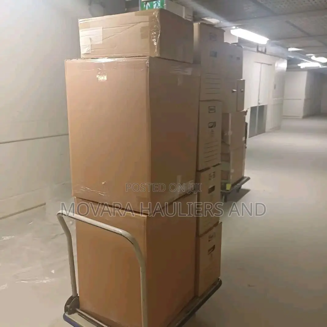 Spotless, Steady Movers for Cherished Homes