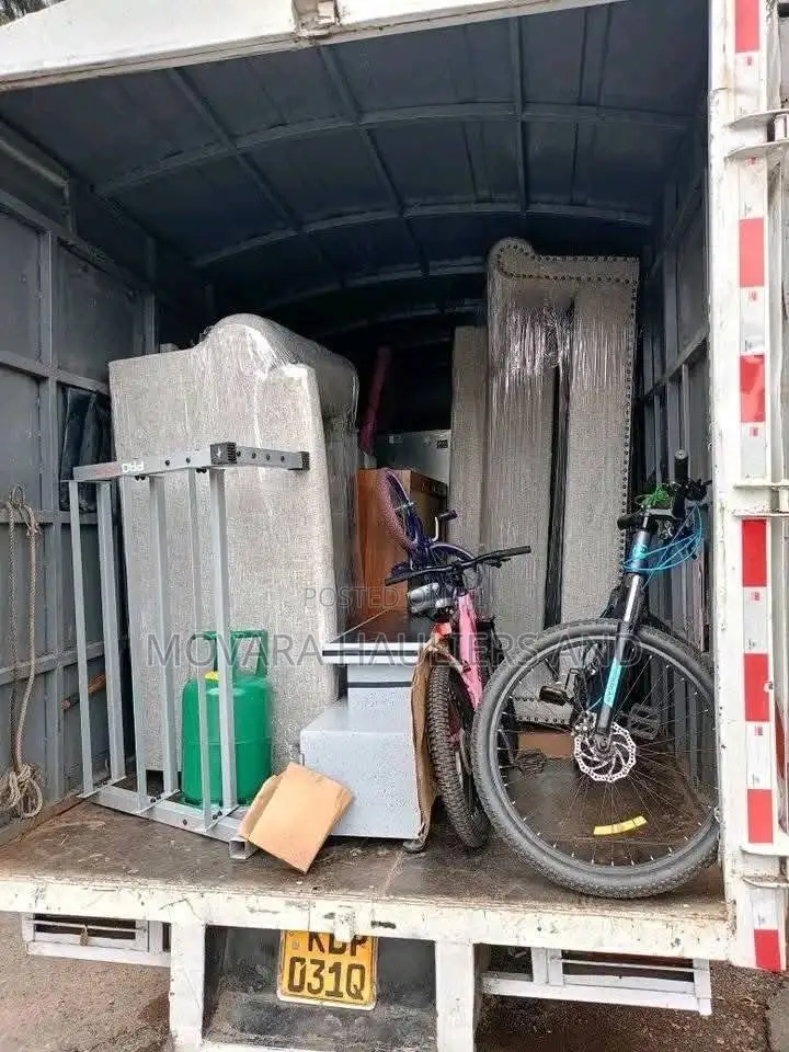 Spotless, Steady Movers for Cherished Homes
