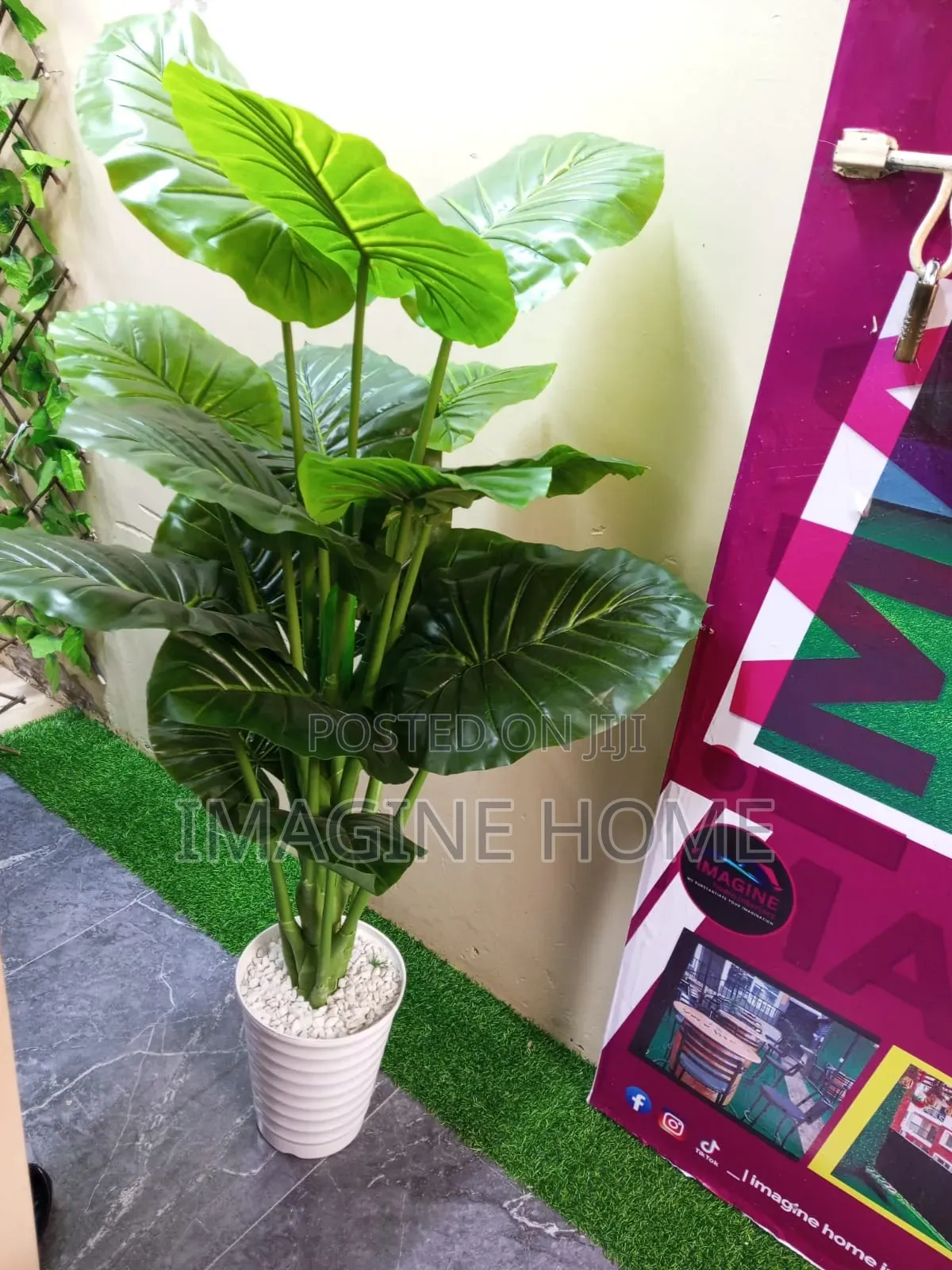 Artificial Zebra Plants