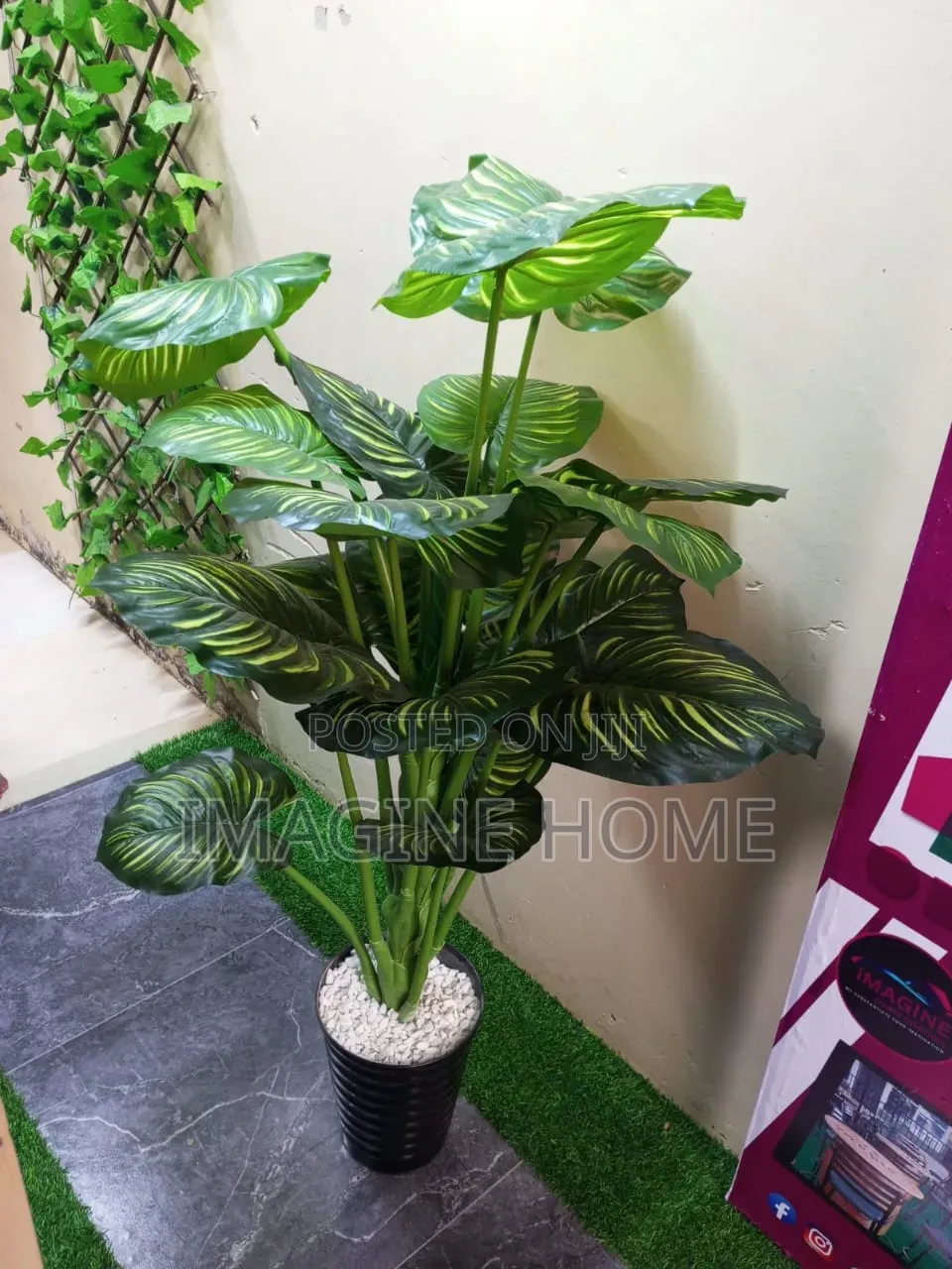 Artificial Zebra Plants