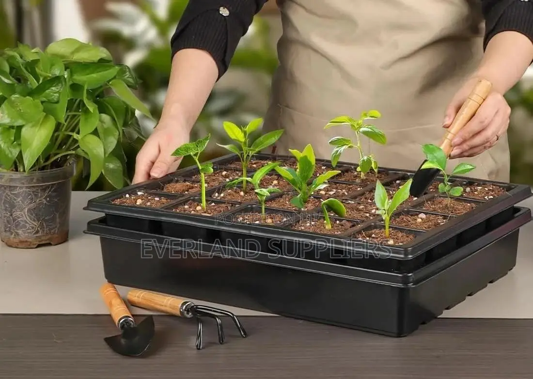 Efficient Nursery Growing Trays