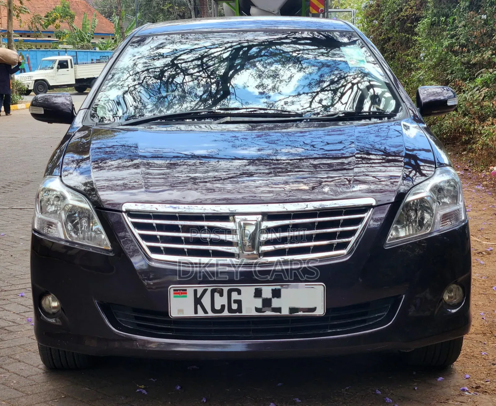 Toyota Premio 2009 Beige